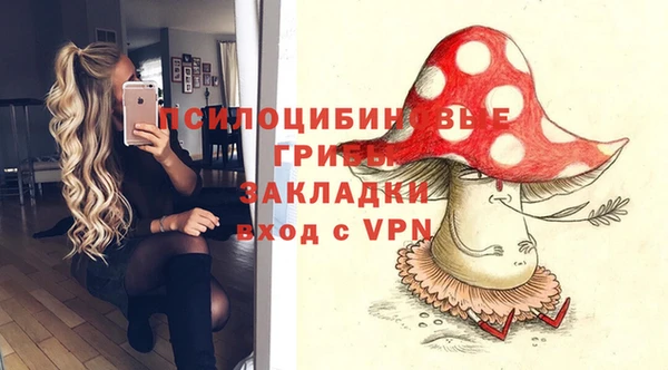 гидра Касимов