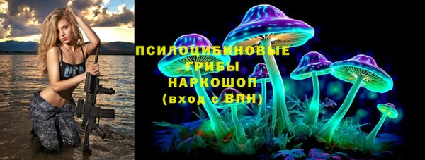 гидра Касимов
