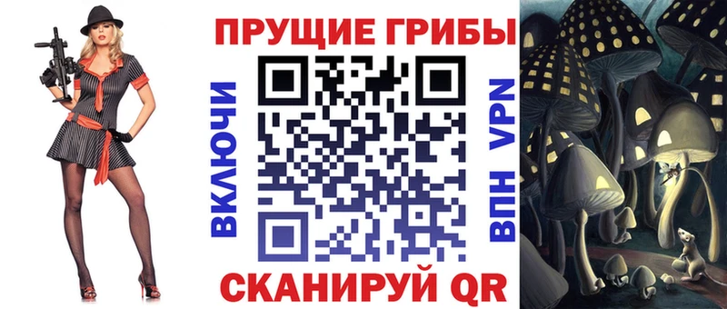 Псилоцибиновые грибы GOLDEN TEACHER  Курганинск 