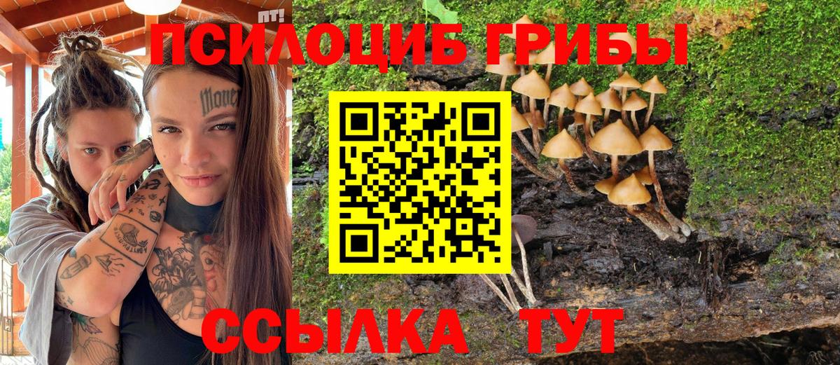 Галлюциногенные грибы мухоморы Курганинск