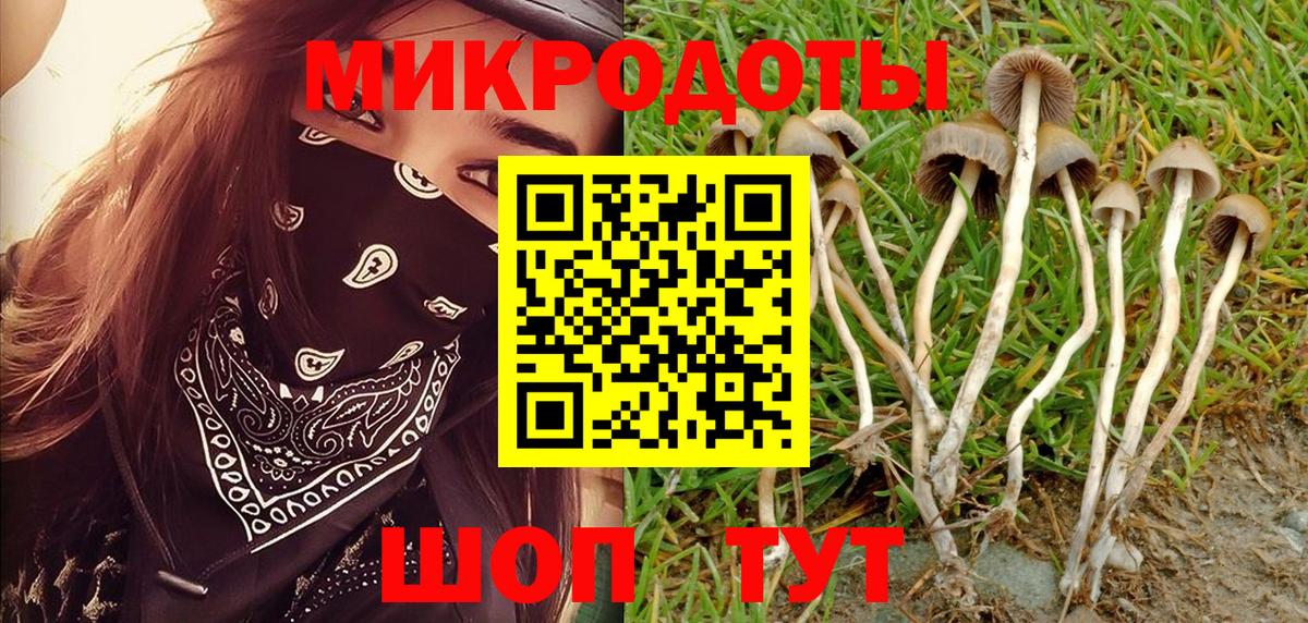 Курганинск  Галлюциногенные грибы Cubensis  Вход с VPN 