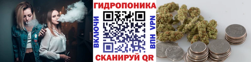 Бошки марихуана индика  гидра как зайти  Курганинск 